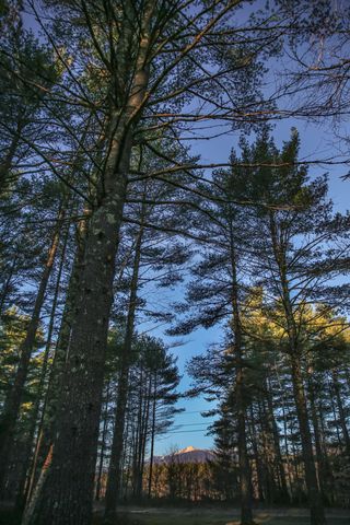 205 River Road, Jay, NY 12941