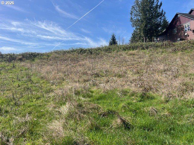 260 LIVINGSTON HEIGHTS Dr, Longview, WA 98632