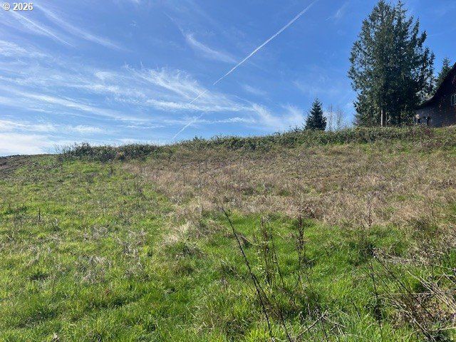 260 LIVINGSTON HEIGHTS Dr, Longview, WA 98632