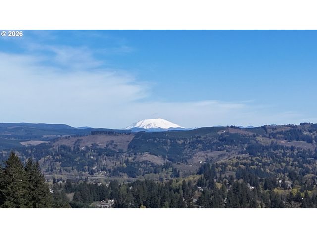 260 LIVINGSTON HEIGHTS Dr, Longview, WA 98632