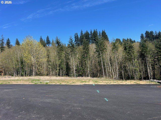 260 LIVINGSTON HEIGHTS Dr, Longview, WA 98632