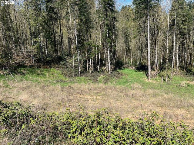 260 LIVINGSTON HEIGHTS Dr, Longview, WA 98632