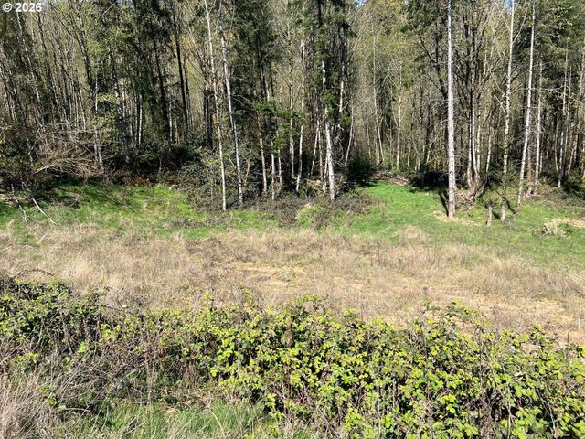 260 LIVINGSTON HEIGHTS Dr, Longview, WA 98632