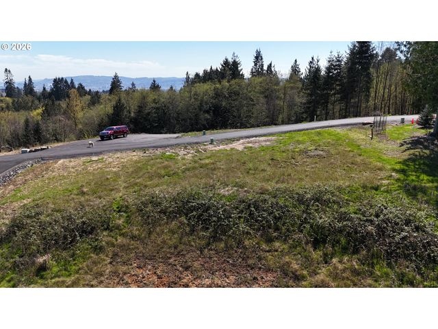 260 LIVINGSTON HEIGHTS Dr, Longview, WA 98632