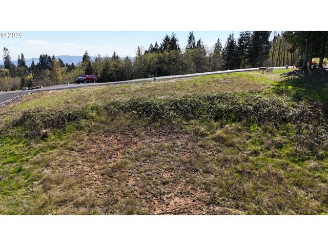 260 LIVINGSTON HEIGHTS Dr, Longview, WA 98632