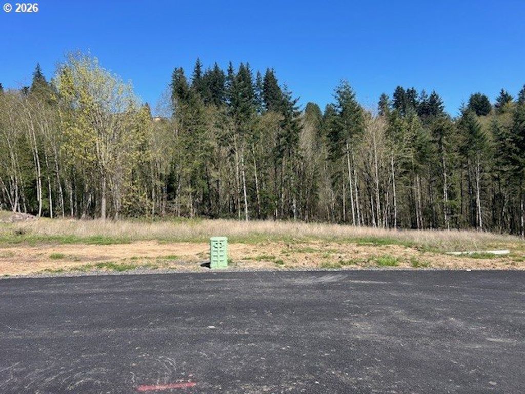 260 LIVINGSTON HEIGHTS Dr, Longview, WA 98632
