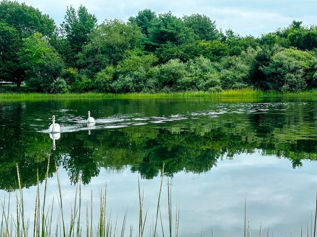 67 Montgomery Rd, Swansea, MA 02777