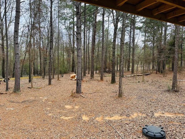 2363 Silver Maple Road, Big Sandy, TX 75755