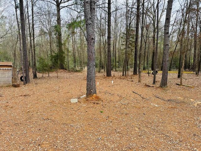 2363 Silver Maple Road, Big Sandy, TX 75755