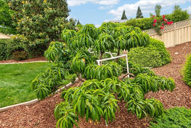 836 Magnolia Ln, Lincoln, CA 95648