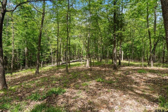 353 PR 5861, Yantis, TX 75497