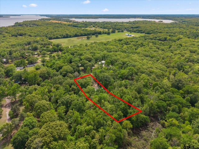 353 PR 5861, Yantis, TX 75497