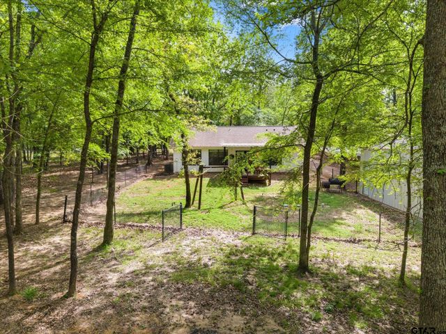 353 PR 5861, Yantis, TX 75497