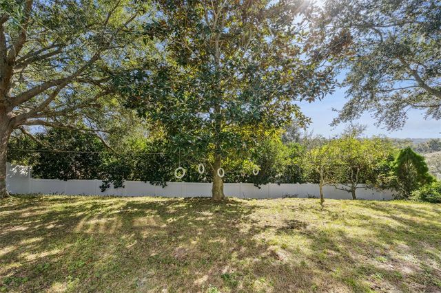1028 FOX TRAIL AVENUE, Minneola, FL 34715