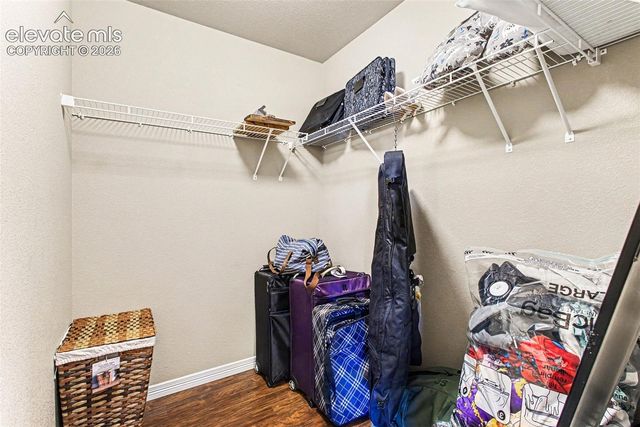 10056 Castor Drive, Colorado Springs, CO 80925