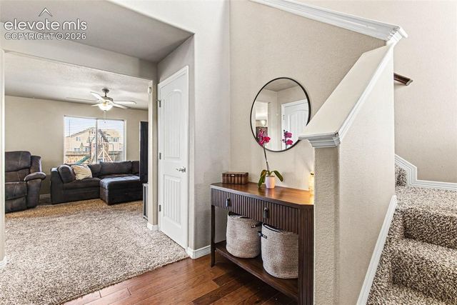 10056 Castor Drive, Colorado Springs, CO 80925