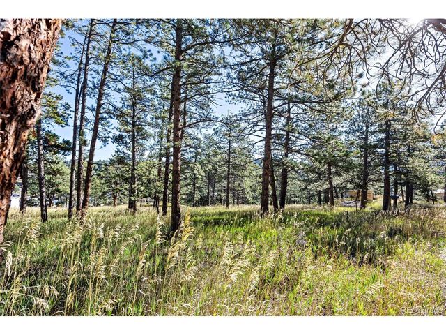 3942 S Palo Verde Rd, Evergreen, CO 80439