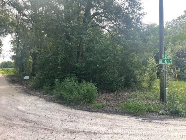 TBD SE 142ND LANE, Summerfield, FL 34491
