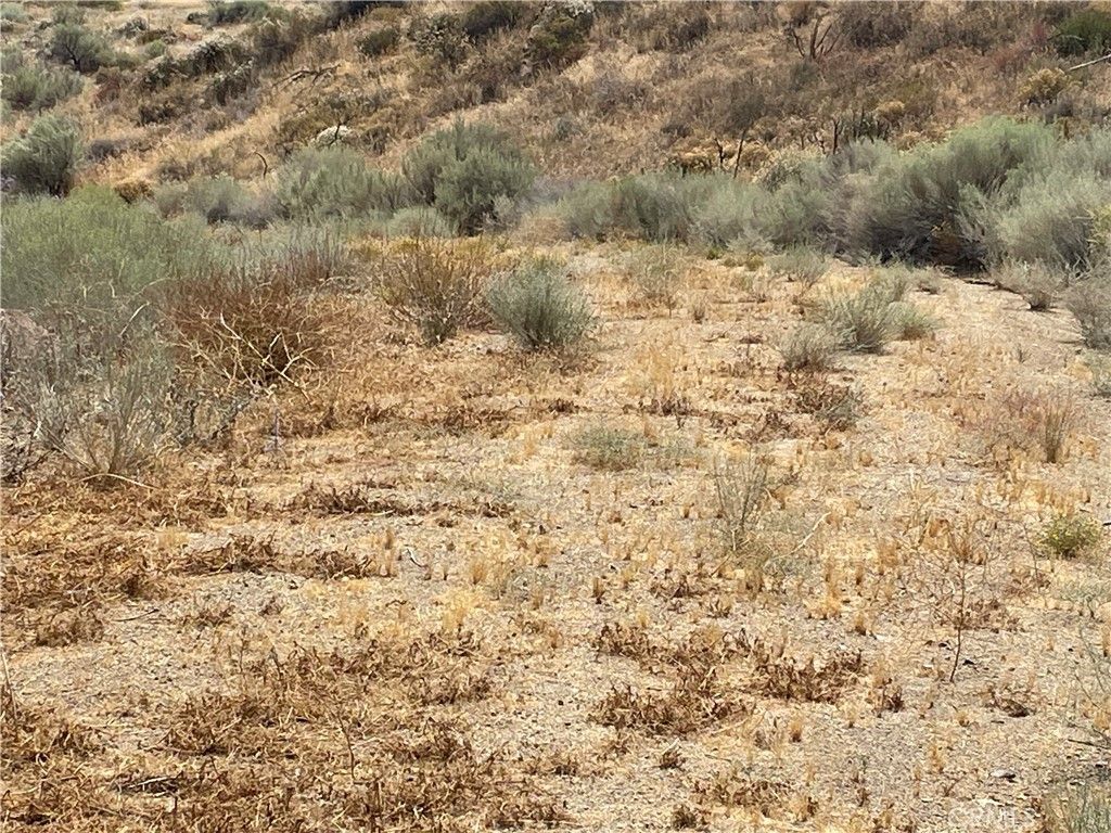Image 19 of property listing at 32952 Angeles Forest Highway, Palmdale, CA 93550