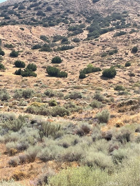 Image 23 of property listing at 32952 Angeles Forest Highway, Palmdale, CA 93550