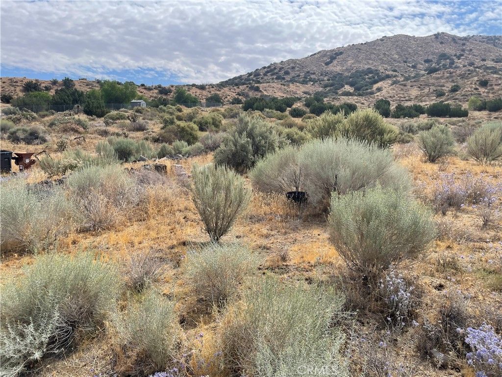 Image 9 of property listing at 32952 Angeles Forest Highway, Palmdale, CA 93550