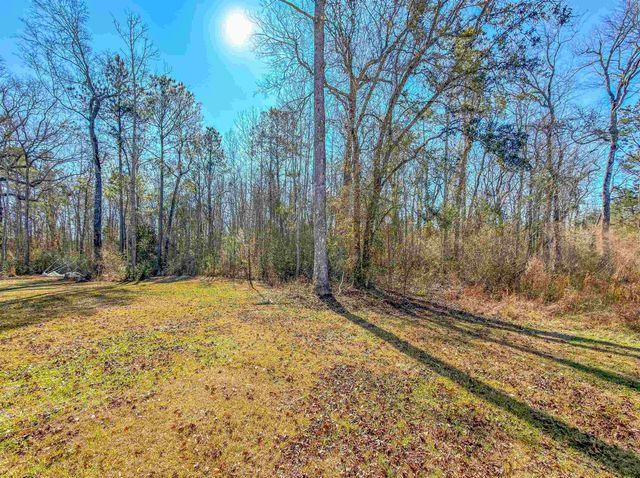 11953 NW Lake Mystic Lee Duggar Road, Bristol, FL 32321