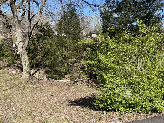 323 Clearview Dr, Clarksville, TN 37043