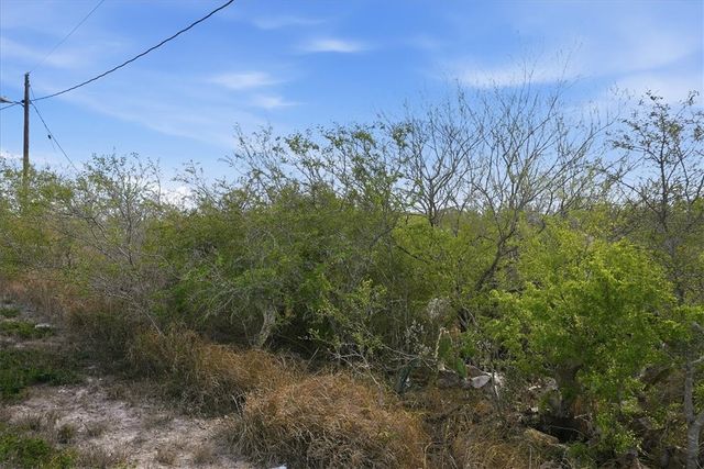 00 Huajilla Bend Rd, Sandia, TX 78383