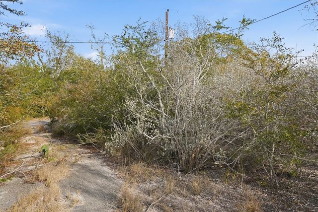 00 Huajilla Bend Rd, Sandia, TX 78383