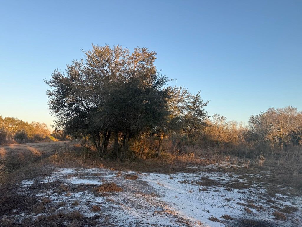 18344 NW 284th Street, Okeechobee, FL 34972