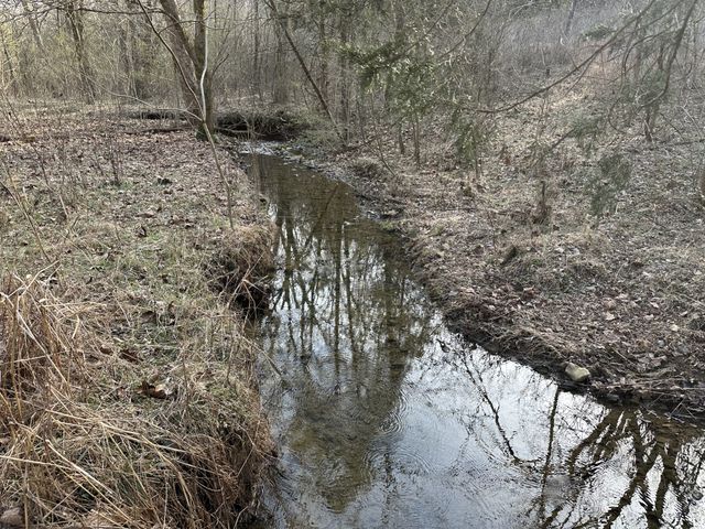 16 Patterson Ln, Pleasant Shade, TN 37145