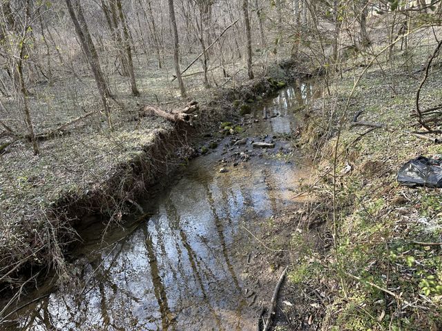 16 Patterson Ln, Pleasant Shade, TN 37145