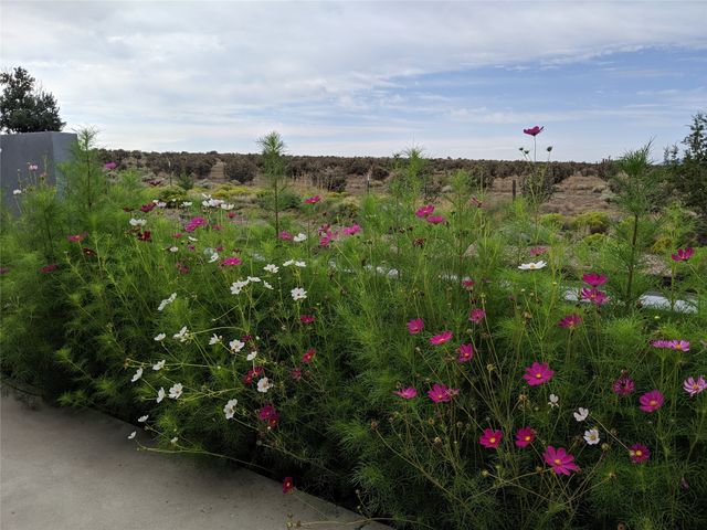 25 Camino Largo, Santa Fe, NM 87507