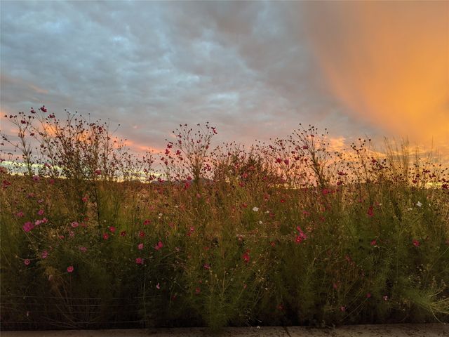 25 Camino Largo, Santa Fe, NM 87507