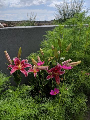 25 Camino Largo, Santa Fe, NM 87507