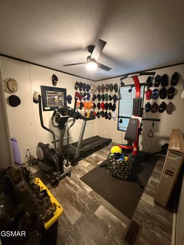 1291 Bluets Road, Newport, TN 37821