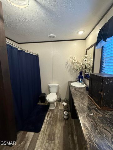 1291 Bluets Road, Newport, TN 37821