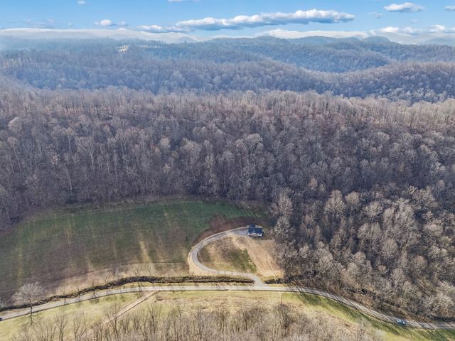 260 G Dias Lane, Dixon Springs, TN 37057