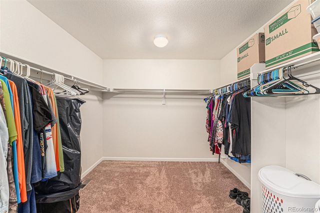 4327 E 95th Drive, Thornton, CO 80229