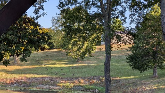 863 Mink Run Road, Frankfort, KY 40601