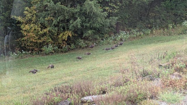863 Mink Run Road, Frankfort, KY 40601