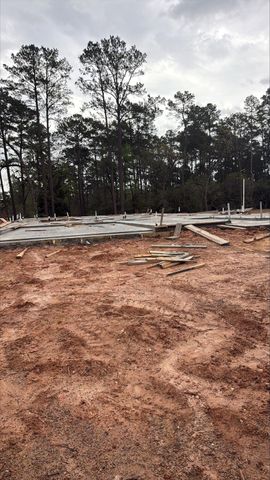 16863 Deep Wingbat Way, Magnolia, TX 77354