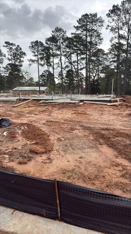 16863 Deep Wingbat Way, Magnolia, TX 77354