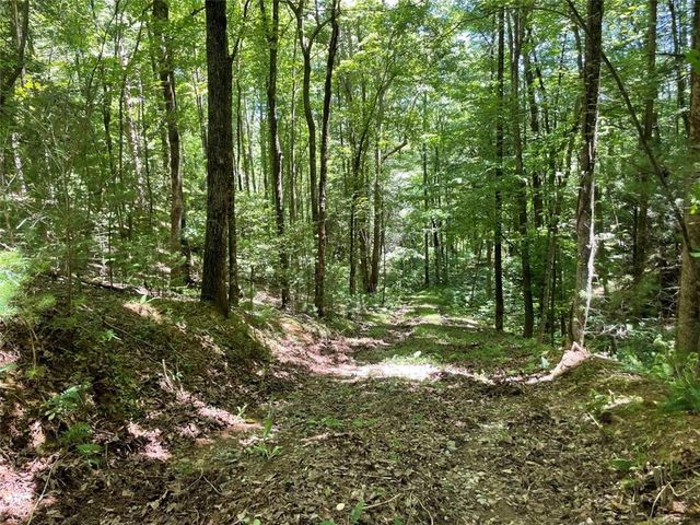 0 Sapulpa Ct, Ellijay, GA 30540