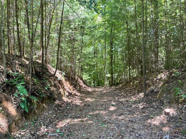 0 Sapulpa Ct, Ellijay, GA 30540