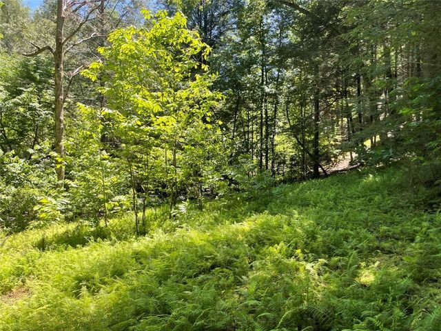 0 Sapulpa Ct, Ellijay, GA 30540