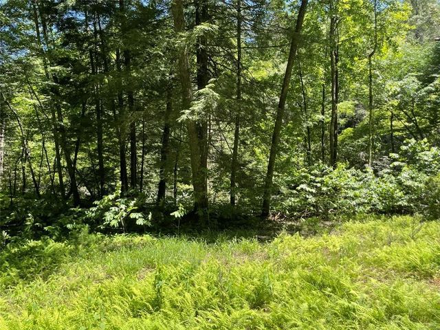 0 Sapulpa Ct, Ellijay, GA 30540