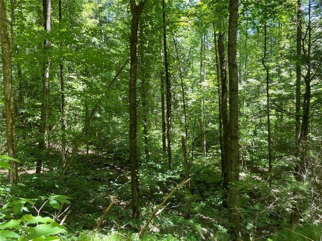0 Sapulpa Ct, Ellijay, GA 30540
