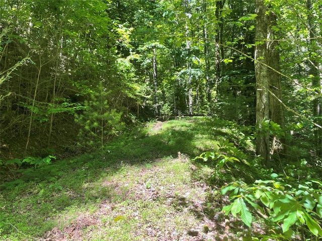 0 Sapulpa Ct, Ellijay, GA 30540