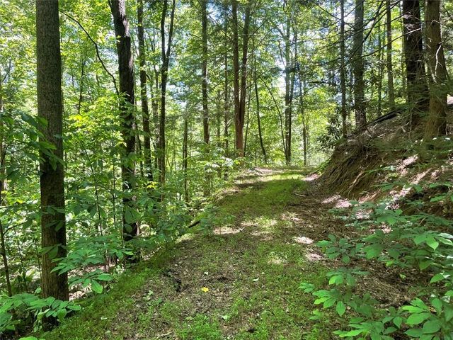 0 Sapulpa Ct, Ellijay, GA 30540